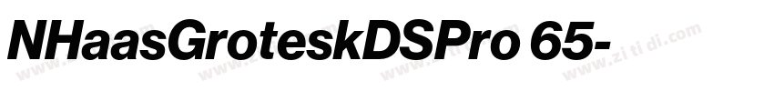 NHaasGroteskDSPro 65字体转换 NHaasGroteskDSPro 65字体转换